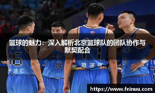篮球的魅力：深入解析北京篮球队的团队协作与默契配合