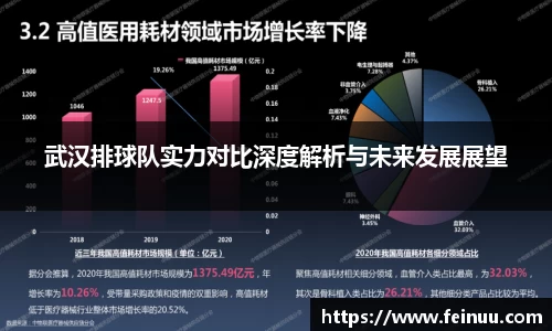 武汉排球队实力对比深度解析与未来发展展望