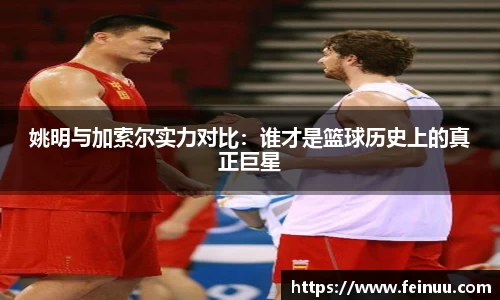 姚明与加索尔实力对比：谁才是篮球历史上的真正巨星