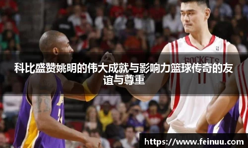 BSports网页版